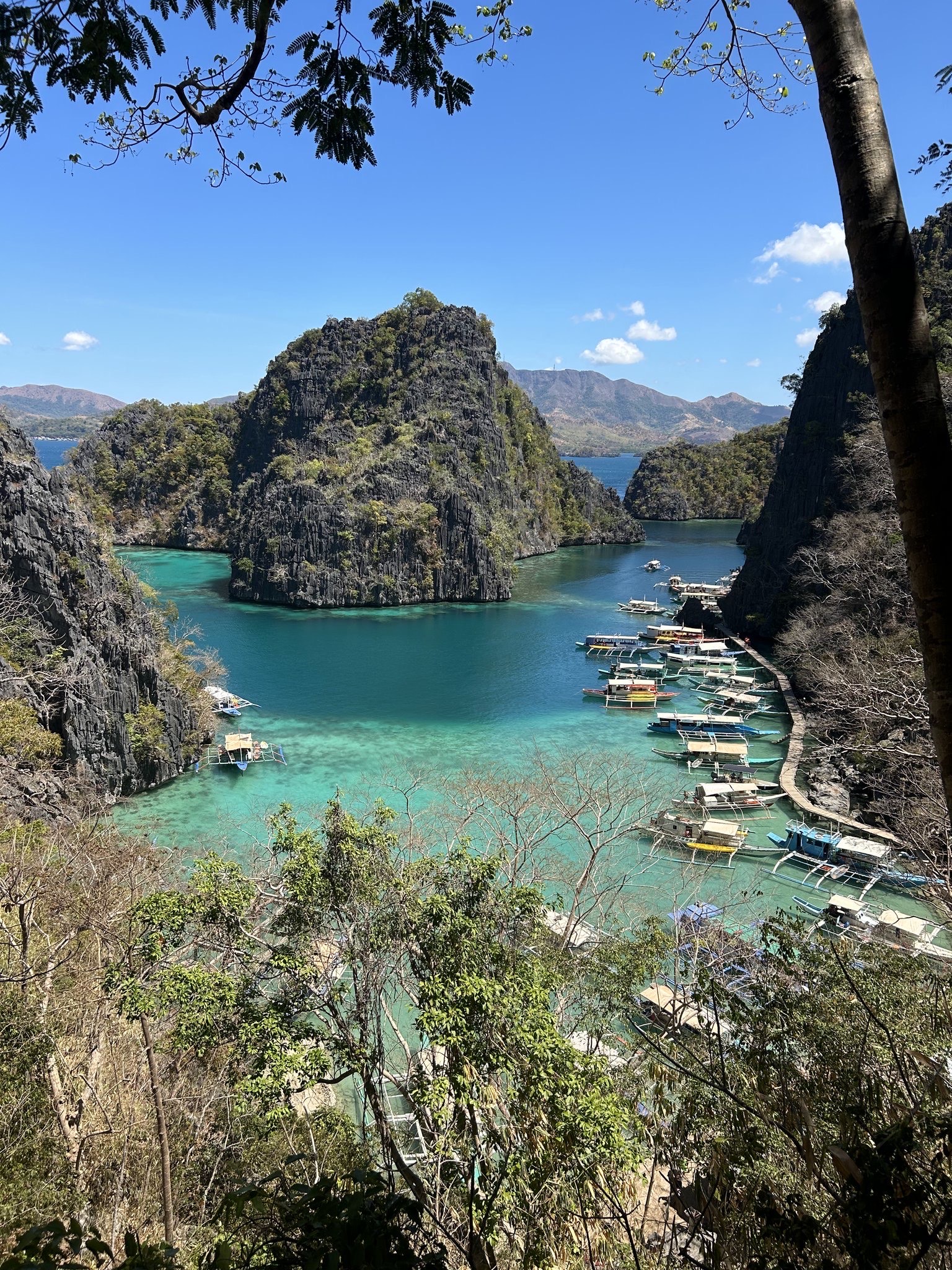 【フィリピン旅行記】コロンで一生の思い出になるアイランドホッピング体験(Coron Island Tour)